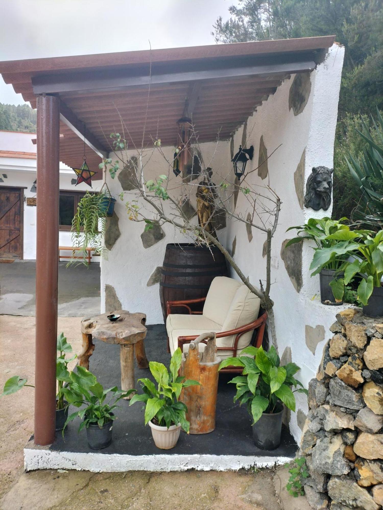 Finca Aurora Ecorural Icod De Los Vinos Dış mekan fotoğraf